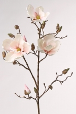 Magnoliatak met 3 bloemen, 13 knoppen, 87cm b